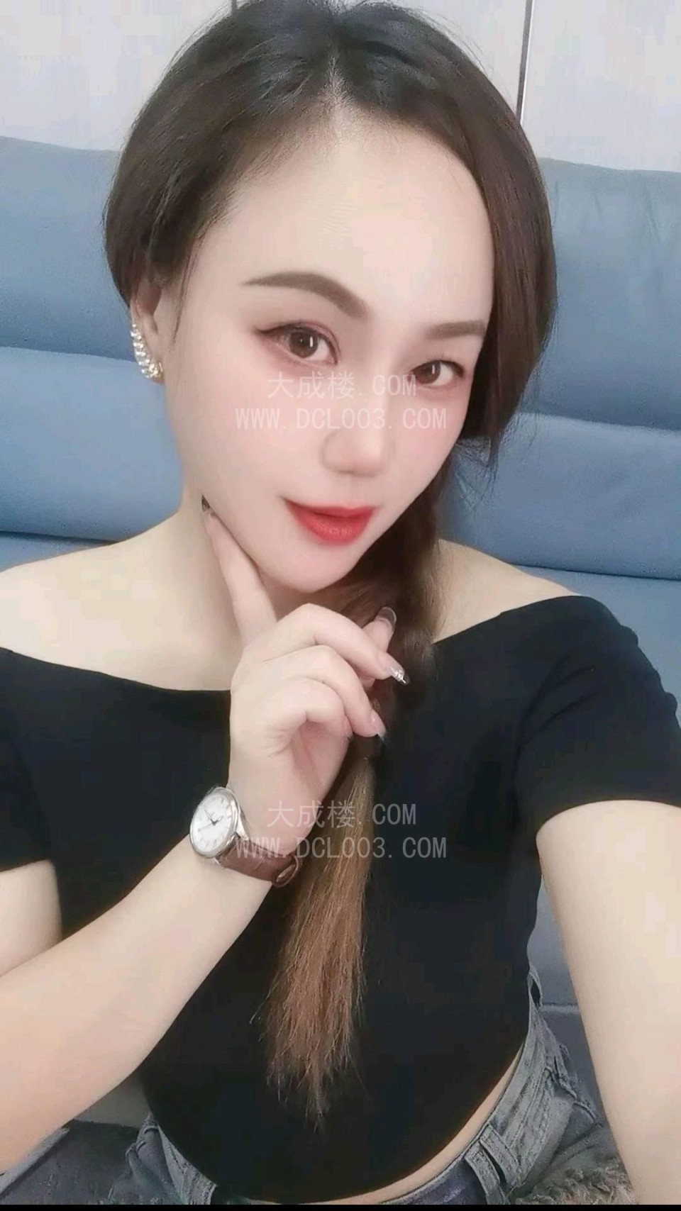 成都东门野猫