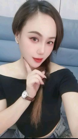 成都东门野猫