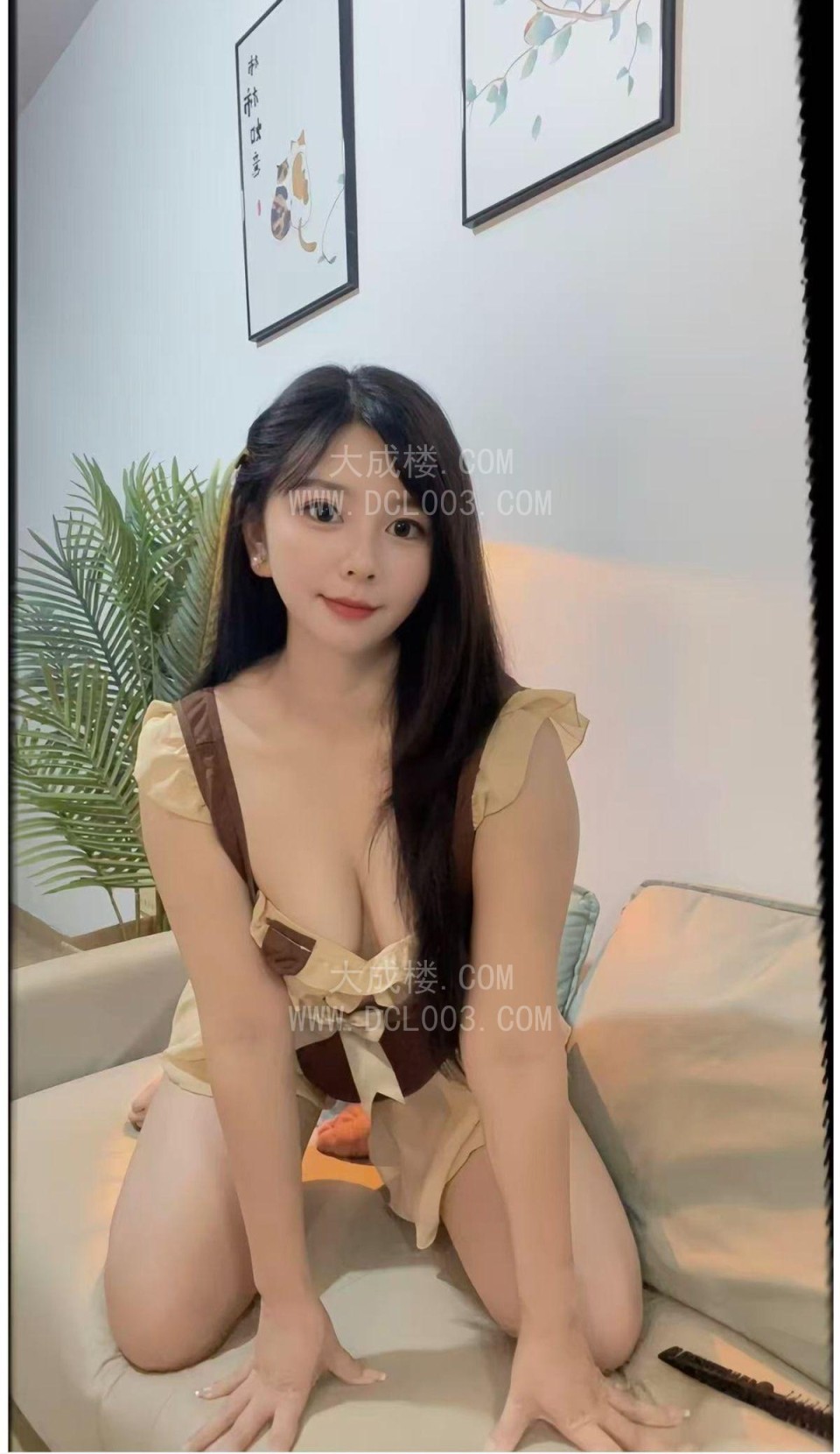 南京江宁玫瑰
