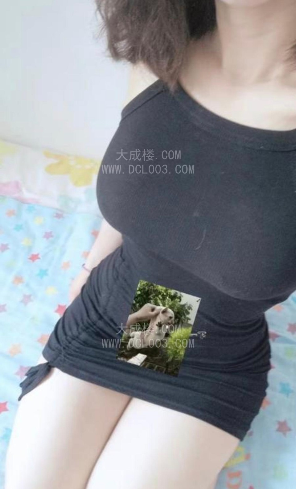 南山小野猫