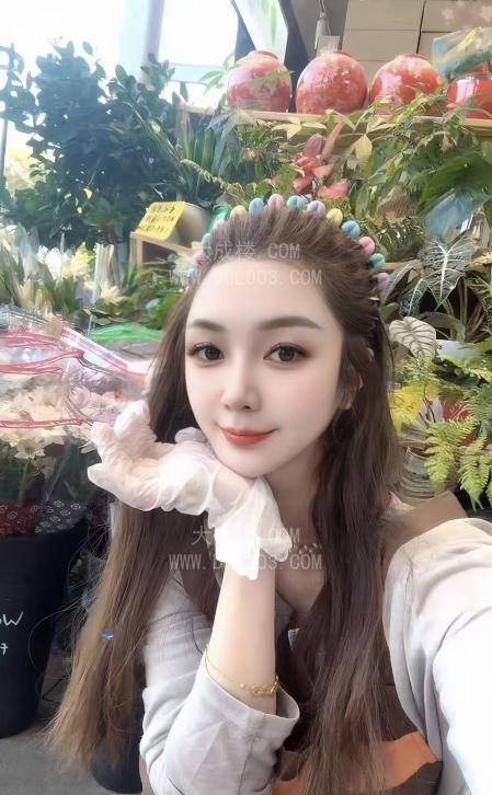 南山娉婷回归